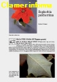 Scheda di coltivazione completa Euphorbia Pulcherrima