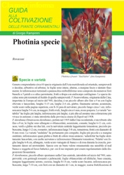 Photinia - Scheda di coltivazione 