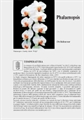 Phalaenopsis - Scheda di coltivazione
