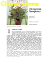 Osteospermum Dimorphoteca - Scheda di coltivazione