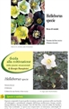 Helleborus spp completo I + II edizione - Elleboro - Rosa di Natale