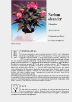 Nerium oleander - Scheda di coltivazione